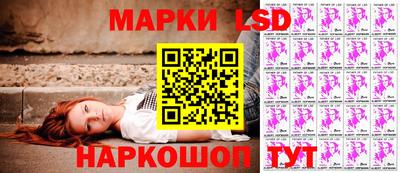 прущие грибы Обнинск