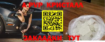 прущие грибы Обнинск