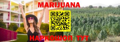 прущие грибы Обнинск