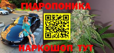 дмт Обь