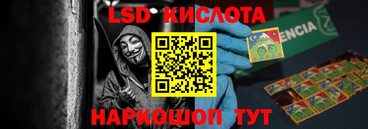Псилоцибиновые грибы Санкт-Петербург