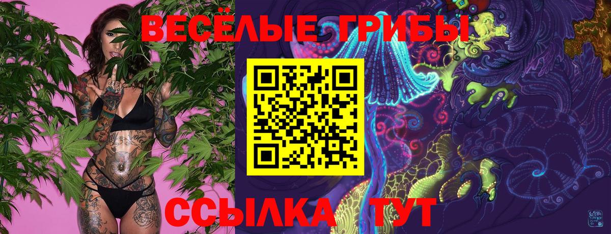 Галлюциногенные грибы мухоморы  Вход с VPN  Санкт-Петербург 